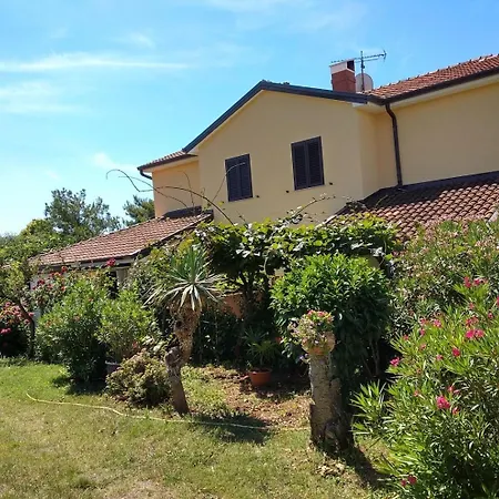 Apartman With Parking Space Zambratija, Umag - 27232 Zambratija (Istria)